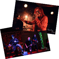 Arizona Local Bands